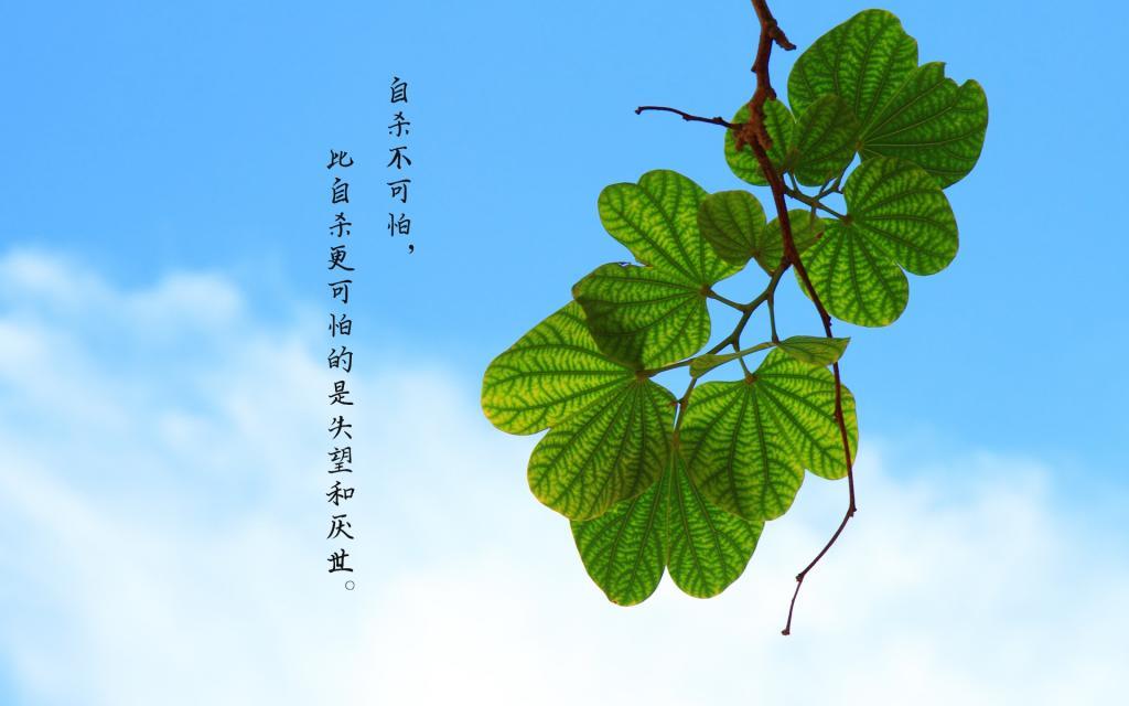 中国经典唯美古诗词 适合摘抄的优美诗词