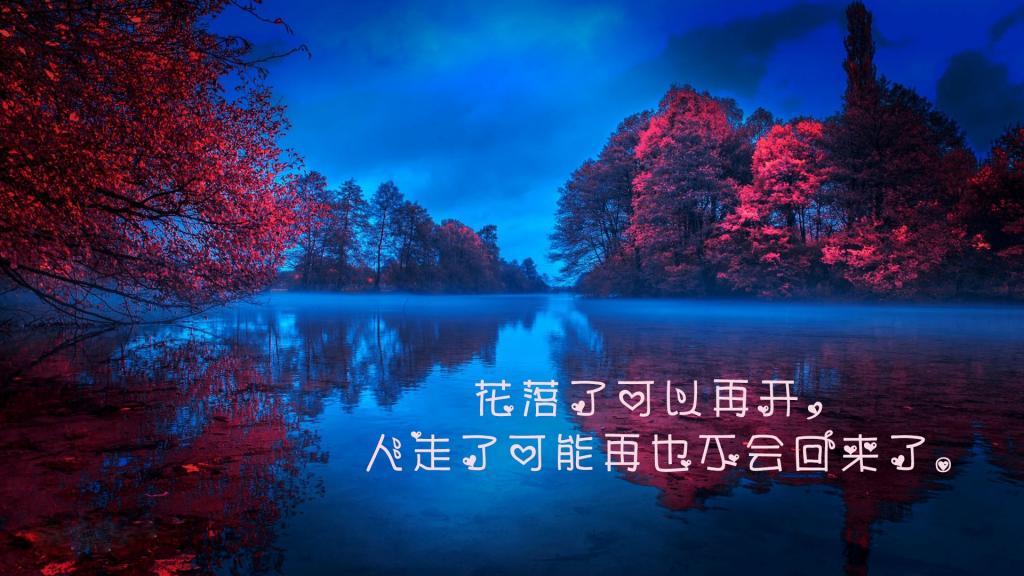 天天天天做夜夜夜夜做无码 隔壁小寡妇让我爽了一夜