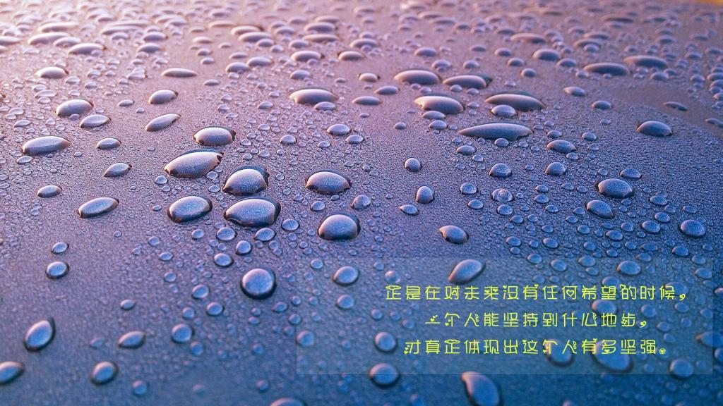 鸭脖视频永久无限破解版下载、中国三级片